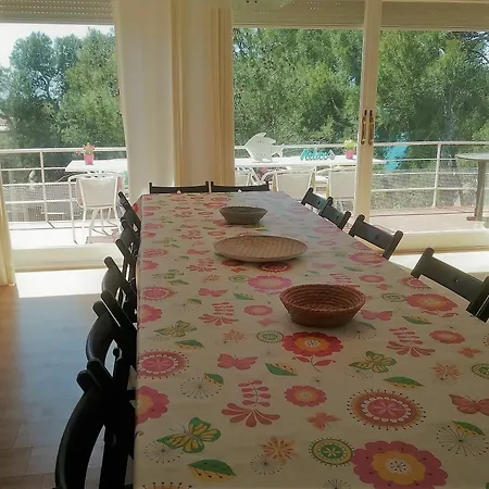 Regine-salou * Salou